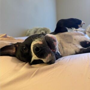 Meet your Posher, Madeline